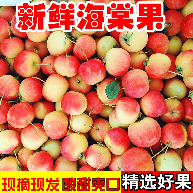 东北沙果海棠果新鲜水果老式小苹果孕妇糖心大沙果吉林特产包邮