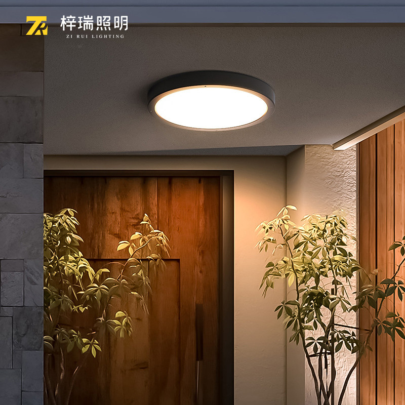 户外吸顶灯防水防蚊虫门口进户灯图片