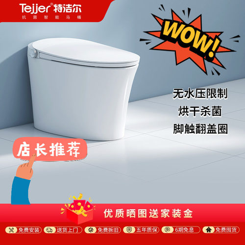 特洁尔家用双水路一体式智能马桶