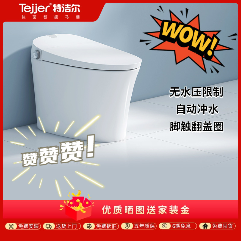 特洁尔台州双水路一体式智能马桶
