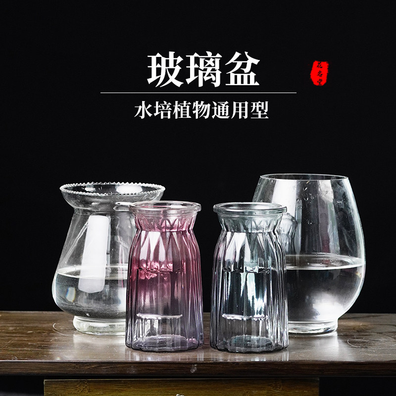 花名堂创意玻璃水培植物花盆图片