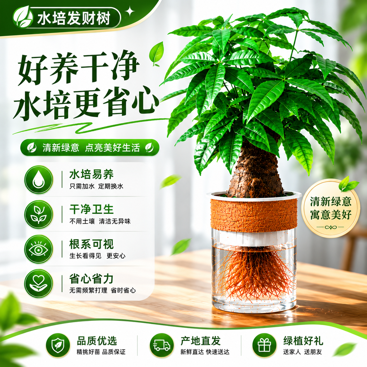 老桩水培发财树小盆栽绿植物室内水养办公桌面盆景摆件大号招财树
