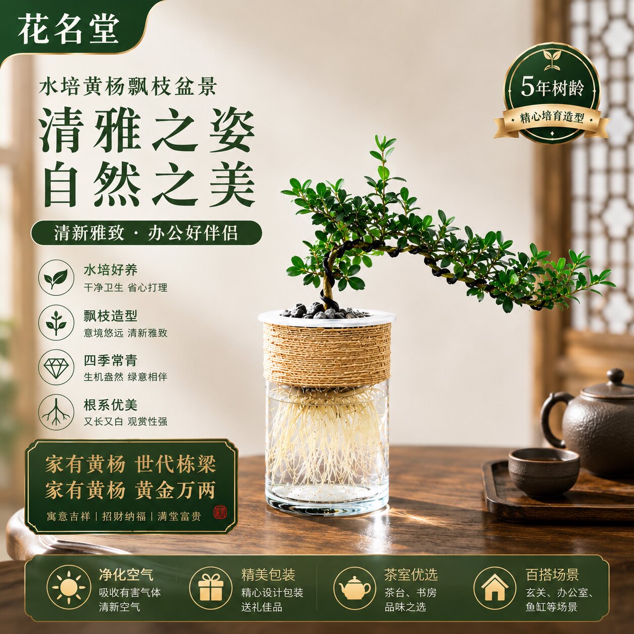 黄杨盆景桌面室内造型树罗汉松老桩水养办公室内好养鱼缸水培植物图片