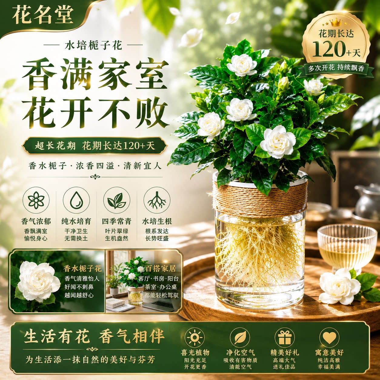 花名堂水培植物栀子花办公室图片