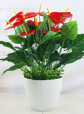 仿真绿植红掌假花家居餐厅塑料