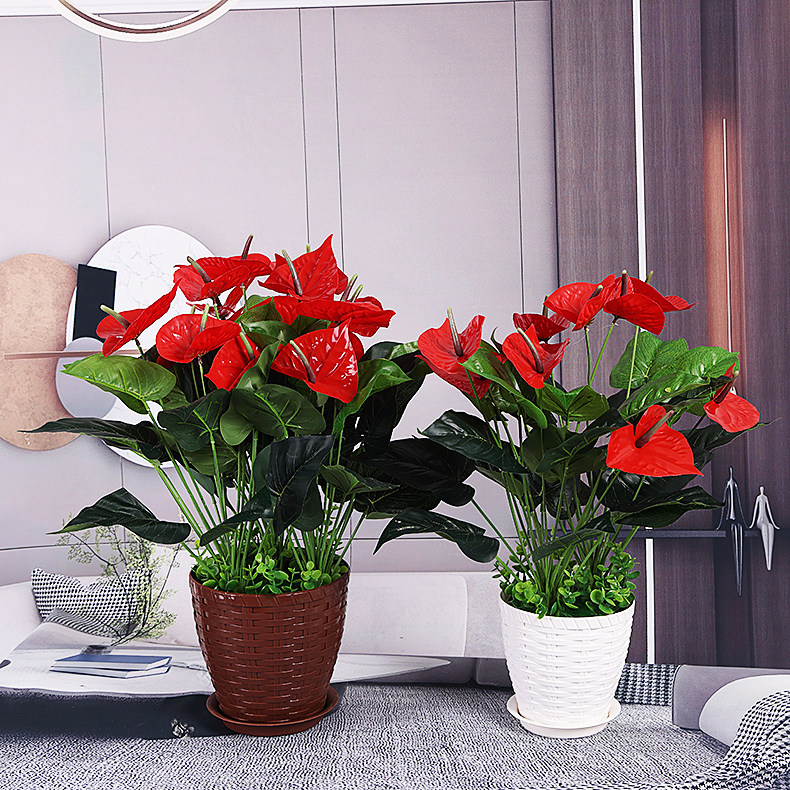 假花仿真绿植红掌客厅装饰绿色植物落地塑料花办公室摆设盆栽盆景