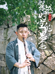 湛文兵紫竹箫洞箫初学六八孔萧高档乐器入门专业演奏级洞萧长箫古