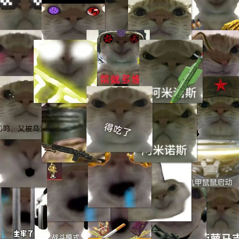 108张地铁逃生小猫贴纸发疯猫猫表情包DIY装饰手账手机壳防水贴画