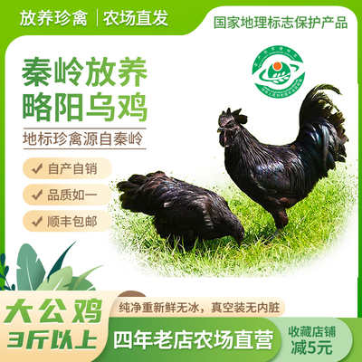 略阳乌鸡山林散养放养整只土鸡