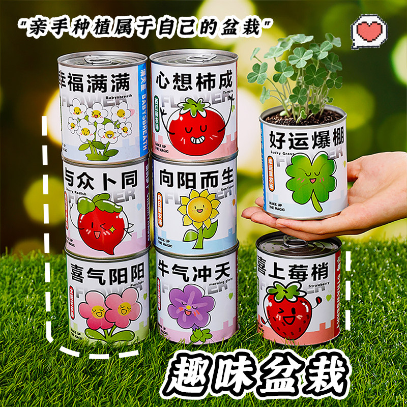 铁盒装盆栽奖励学生礼品学校报名创意礼盒趣味盆栽亲子种植卡通
