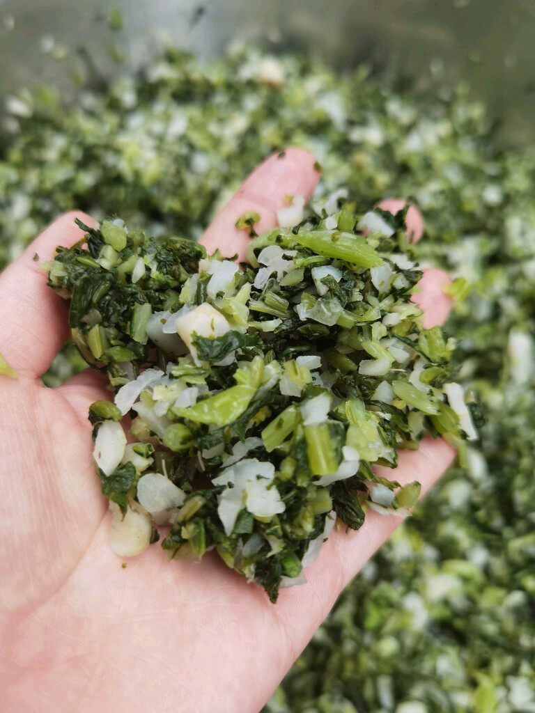 好吃新鲜蔬菜农家萝卜叶子 下饭菜冲菜 缨子萝卜杆苗秧子黄菜免切