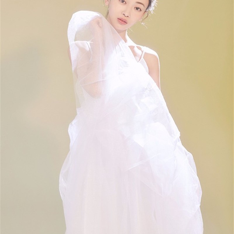 精选芭蕾舞裙成人新p款芭蕾吊带练功服舞蹈纱裙写真演出服女