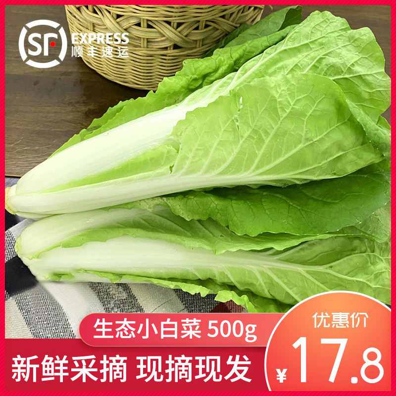 绿源禾心 有机小白菜 大田生长 新鲜蔬菜 现拨现发货 500g 水产肉类/新鲜蔬果/熟食 其它 原图主图