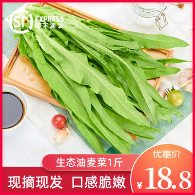 绿源禾心 油麦菜新鲜蔬菜 约500g当季青菜四季农家自种时令蔬菜