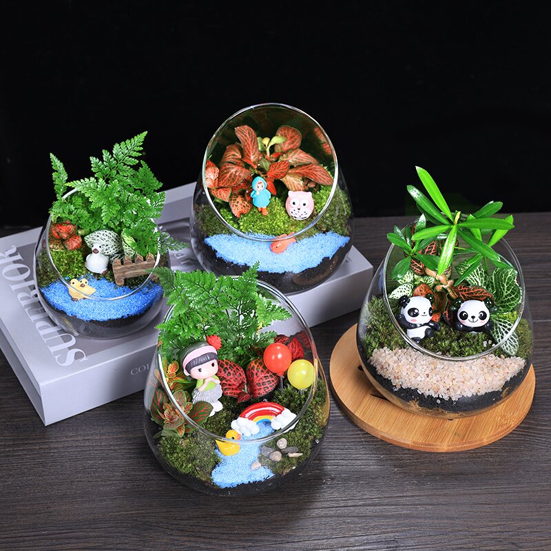 宽口切口瓶苔藓微景观生态瓶diy材料包创意玻璃植物盆栽摆件套装
