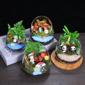 宽口切口瓶苔藓微景观生态瓶diy材料包创意玻璃植物盆栽摆件套装