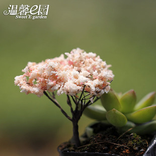 樱花 多肉配件素材 仿真圣诞树仿真花 微景观摆件 Zakka摆件配饰