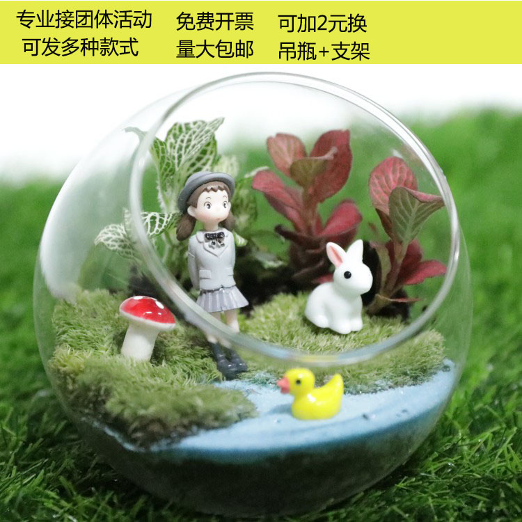 苔藓景观生态瓶植物多肉盆栽diy