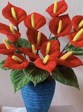 扭扭棒花束材料包马蹄莲红掌手工DIY自制乔迁之喜婚庆大客厅摆件