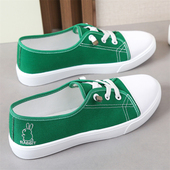 帆布鞋 子春秋软底运动板鞋 女秋季 时尚 学生2026新款 百搭鞋 低帮女鞋