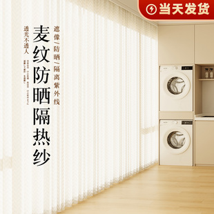 窗帘纱帘透光不透人阳台遮阳防晒镜面纱飘窗白纱窗纱卧室2025新款