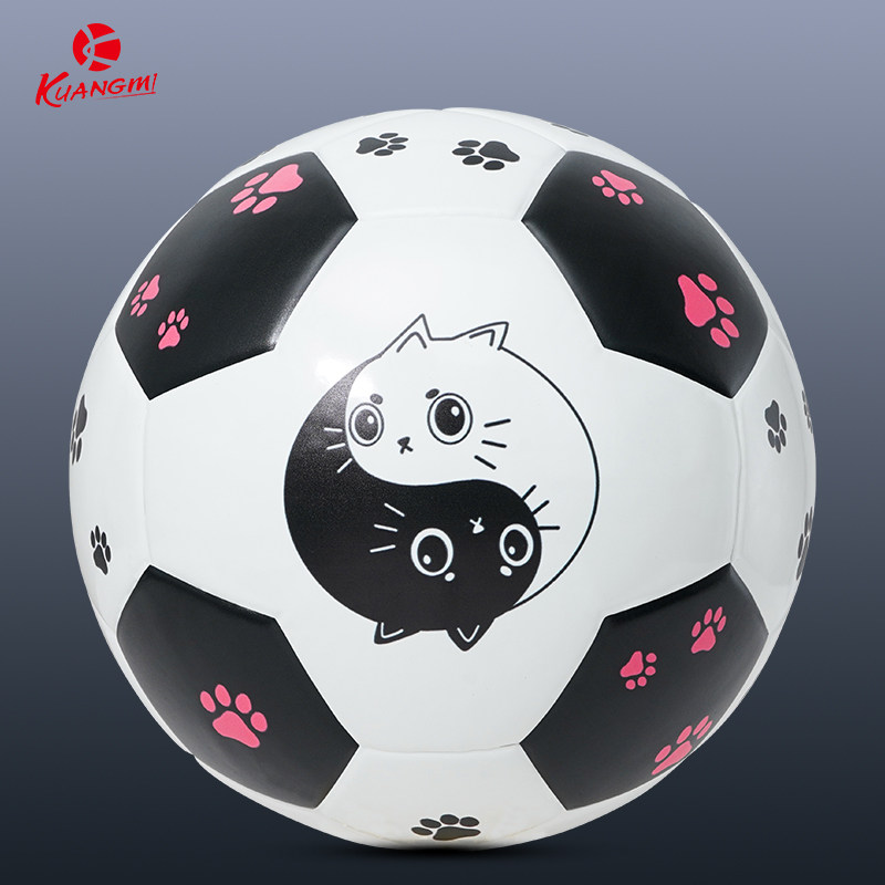 太极小猫正品足球5号中考用球