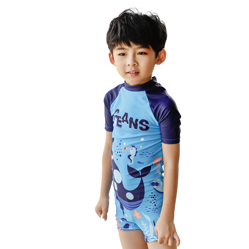 儿童泳衣男童泳裤男2026新款