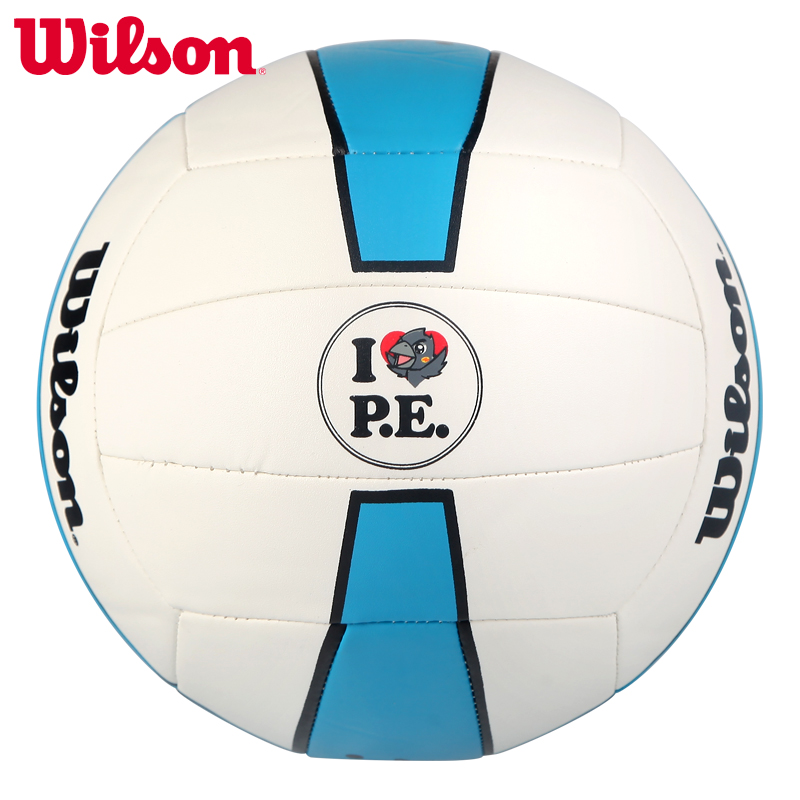 Ballon de volley-ball WILSON - Ref 2010034 Image 2