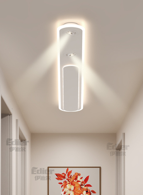 衣帽间阳台灯入户玄关走廊过道现代简约餐厅吸顶灯led长条灯具