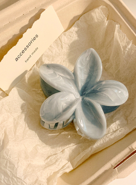 清凉一夏~蓝色鸡蛋花抓夹女高级感海边拍照发夹半扎发夹子头饰