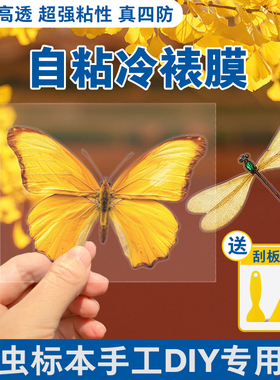 冷裱膜自粘标签标本照片塑封膜高光哑光自粘海报保护膜植物树叶昆虫标本相片冷膜封膜纸6寸 5寸 A4镭射冷裱膜