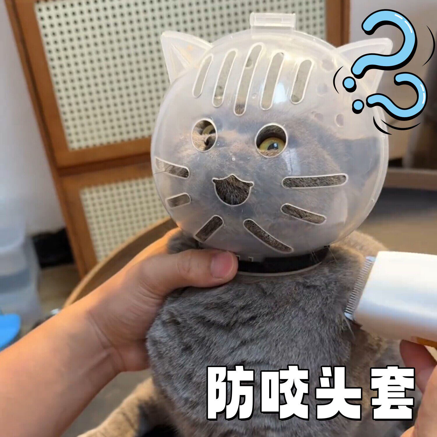 猫咪头套防咬防舔剪指甲神器宠物小猫幼猫洗澡太空头罩防挣脱防抓