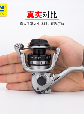 迪佳渔轮GEAC800全金属超小型迷你鱼轮鱼线轮冰钓筏竿路亚矶钓杆