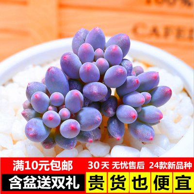 带你看骨科
