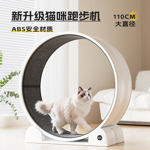 小兽宠物智能玩具智能显数ABS