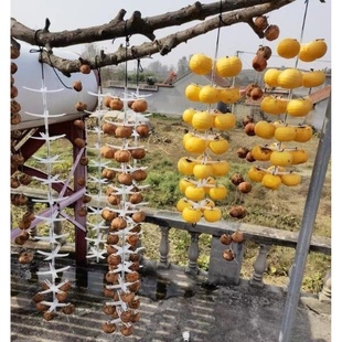 晒柿子饼神器晾晒架不锈钢晒干网晒东西的晒鱼网晒干陈皮红薯干面