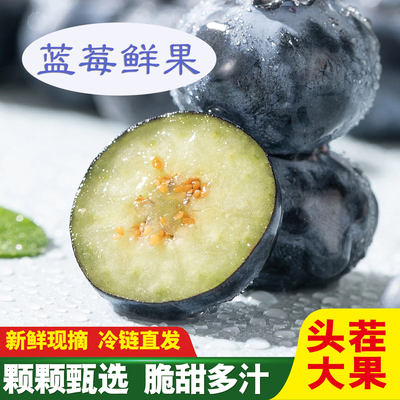 花香L25现摘蓝莓鲜果产地直发