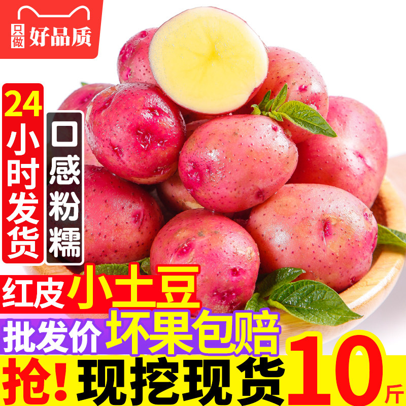 新鲜红皮土豆小号现挖高山洋芋10斤农家自种云南黄皮黄心马铃薯|msdalam kategori daging perikanan/Buah-buahan segar dan sayur-sayuran/dimasak, sayur-sayuran segar/Vegetable Products, sayur-sayuran segar, Potato - dari Buy2taobao.com untuk memberikan perkhidmatan ejen Taobao profesional membeli