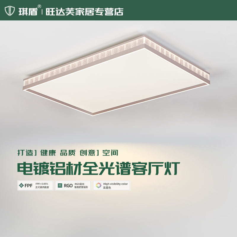 大气客厅主灯简约现代高级感