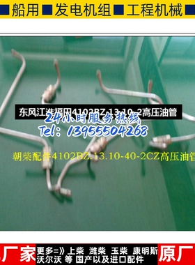 东风江淮福田4102BZ.13.10-2高压油管