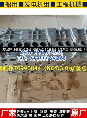 朝柴原厂发动机NGD3.0-CS5D-C118.01.10汽缸盖总成（国产）