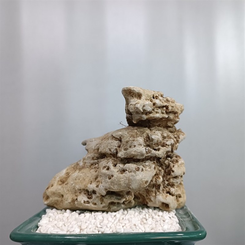 优选太湖石原石摆件英石灵璧石A玲珑石风凌石盆景附石菖蒲石墨.