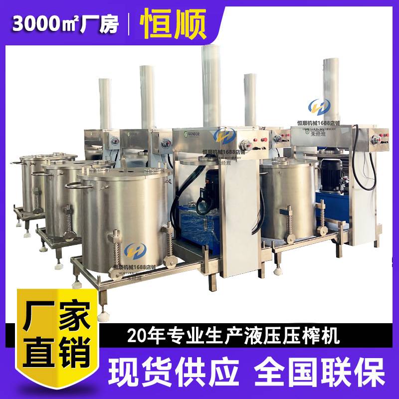 河南香椿榨汁压榨机 黑果花揪想榨汁压榨 木瓜诺丽果酵素压榨机