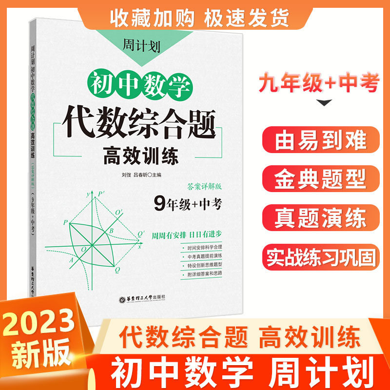 中考初中数学代数综合题高效训练周计划附解析九年级数学强化训练初中