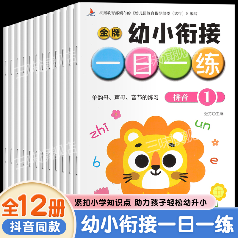 幼小衔接教材全套一日一练全12册