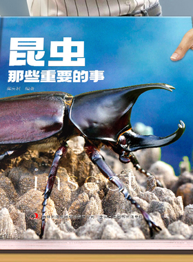 昆虫那些重要的事中国少年儿童探索百科全书恐龙 动物 太空 宇宙 自然 科学 地球 海洋少儿趣味百科全书全套dk儿童博物大百科绘本