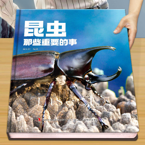 dk同款少年儿童探索系列百科全书
