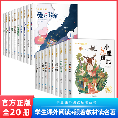 国际获奖小说注音版儿童文学