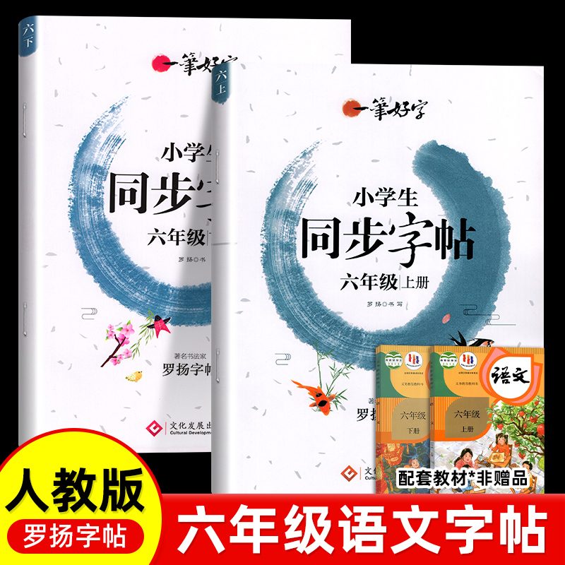 六年级语文同步练字帖小学生专用