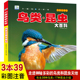 鸟类昆虫大百科彩图注音版 8岁小学生科普百科全书幼儿园小学生一二年级课外阅读科普百科全书故事书 儿童早教启蒙绘本故事书3